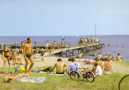 Klik for fuld størrelse