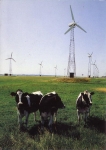Oddesund_N_.jpg