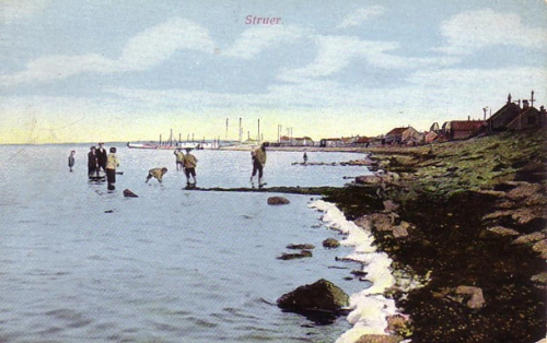 Klik for fuld størrelse
