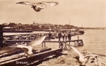Struer_Havn_049.jpg