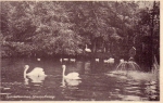 Struer_Lystanl_g_015.jpg