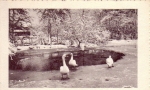 Struer_Lystanl_g_016.jpg