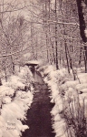 Struer_Lystanl_g_027.jpg