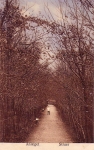 Struer_Lystanl_g_030.jpg