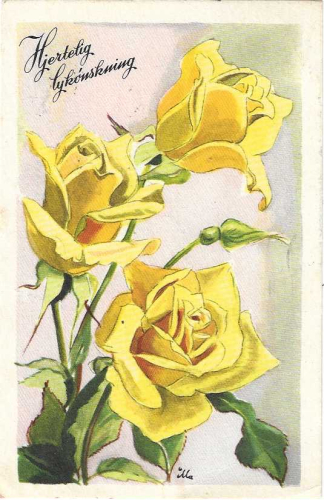 Klik for fuld størrelse