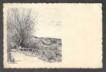 Bargild~14.jpeg