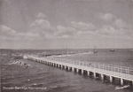 Havnen19.jpeg