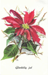 Filnavn=Illa_W__1.jpeg
Filstørrelse=97KiB
Dimensioner=535x819
Dato for tilføjelse=25 Maj, 2023 Illa_W__1.jpeg
