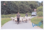 veno30.jpeg