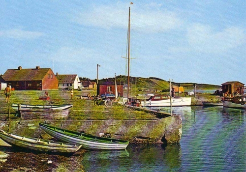 Klik for fuld størrelse